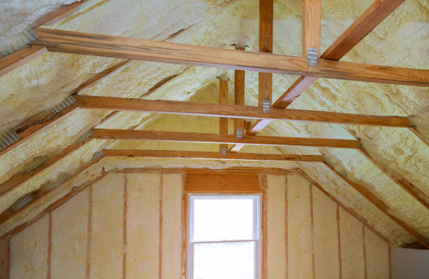 Best Insulation Maintenance and Repair in Euharlee, GA