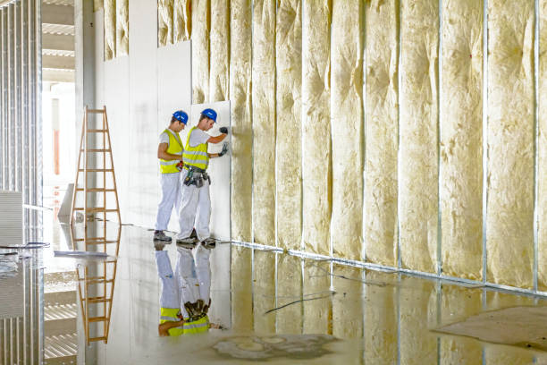 Best Insulation for Specific Applications in Euharlee, GA